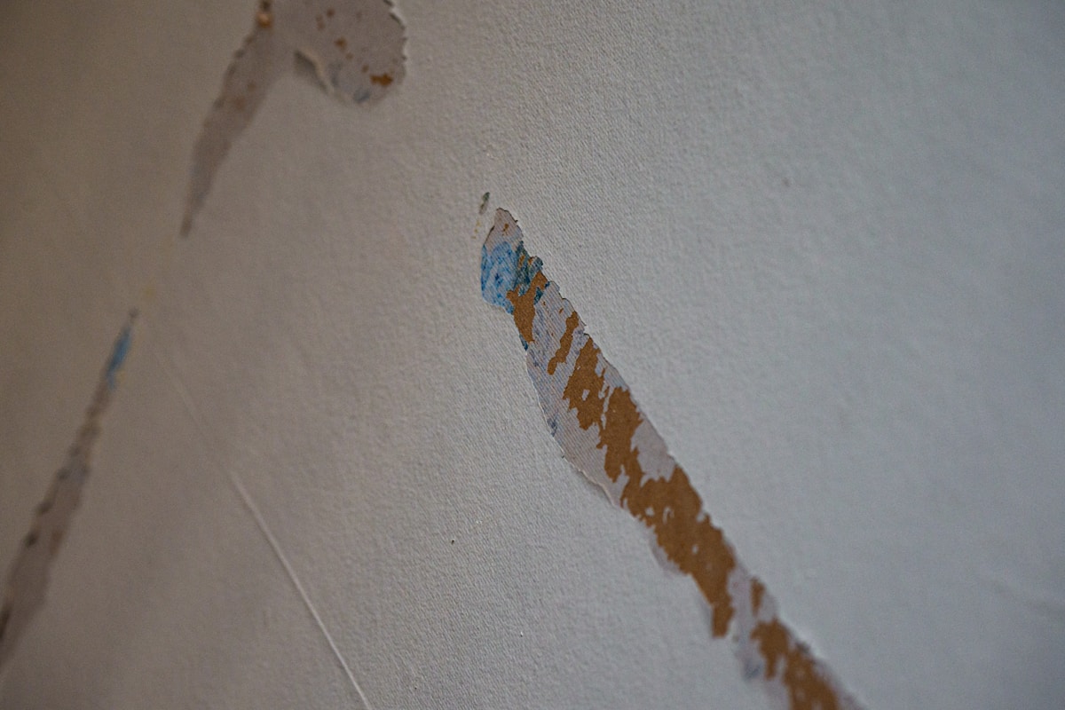 Flood Cleanup service in Tamarac, FL